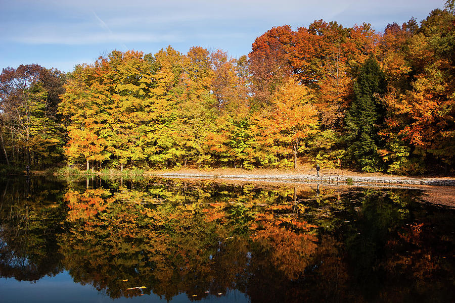 Fall Ontario forest reflecting in pond Photograph by Peter Pauer