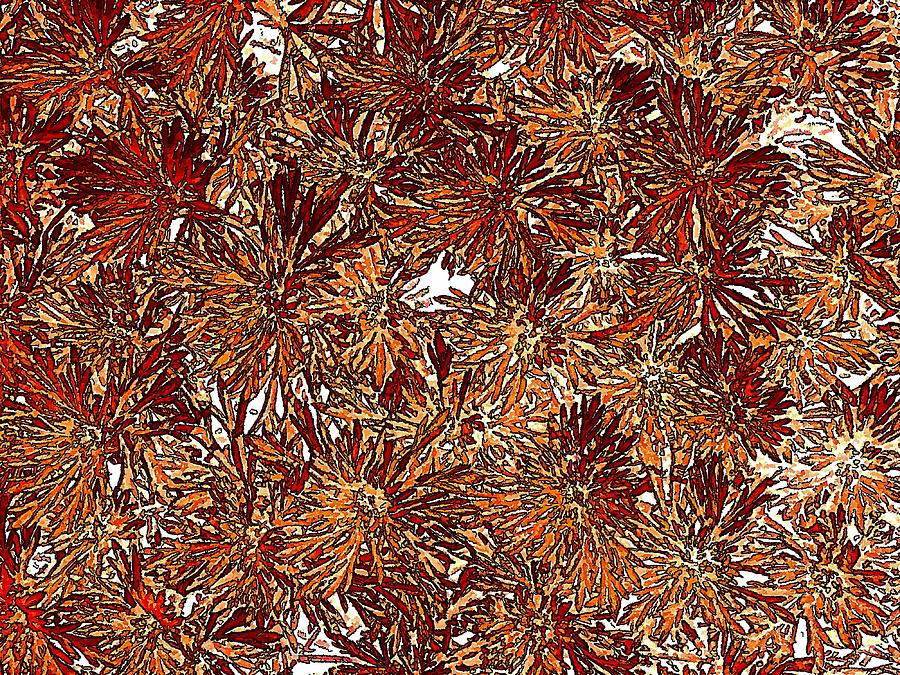 Fall Orange Floral Abstract Digital Art by Doug Morgan