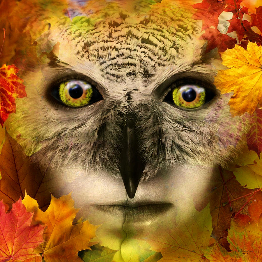 Fall Owl Digital Art by Artful Oasis