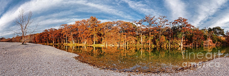Fall Panorama of Bald Cypress Along the Frio River at Garner State Park - Texas Hill Country Photograph by Silvio Ligutti