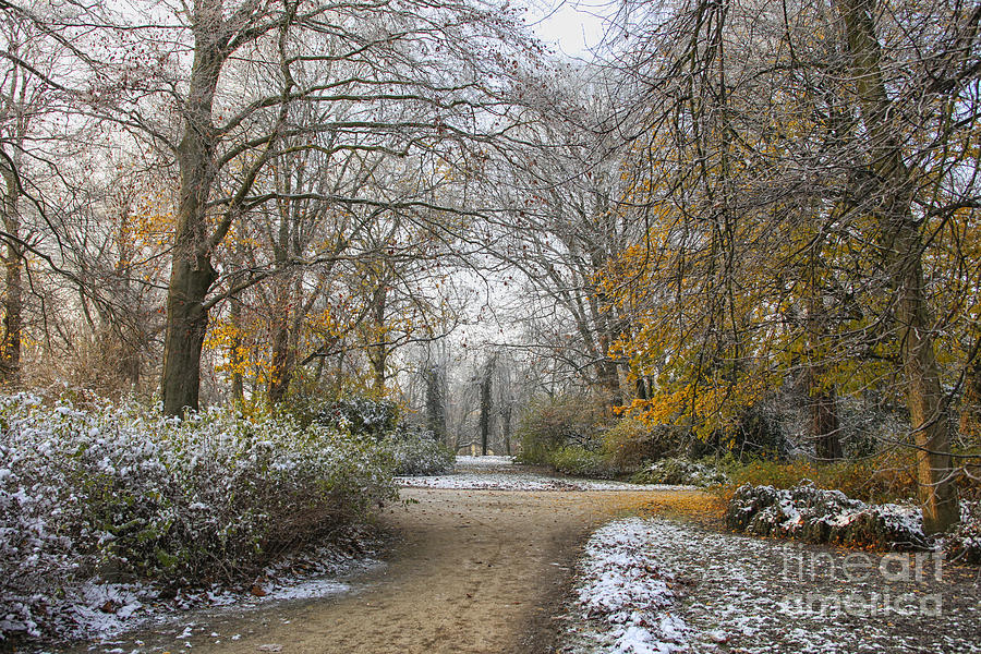 Fall park in snow Photograph by Patricia Hofmeester