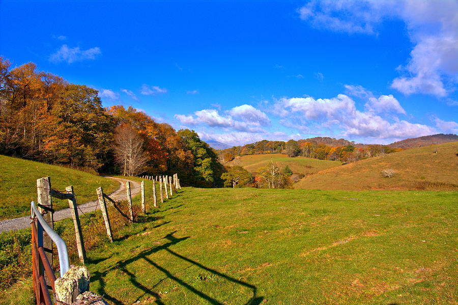 Fall Pasture View Photograph by Larry Jones | Fine Art America