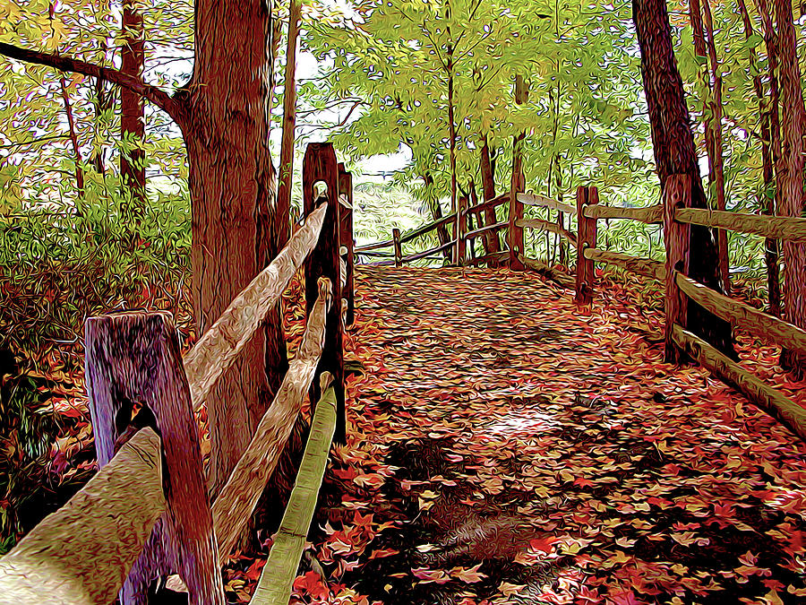 Fall Pathway Photograph by Linda Carruth