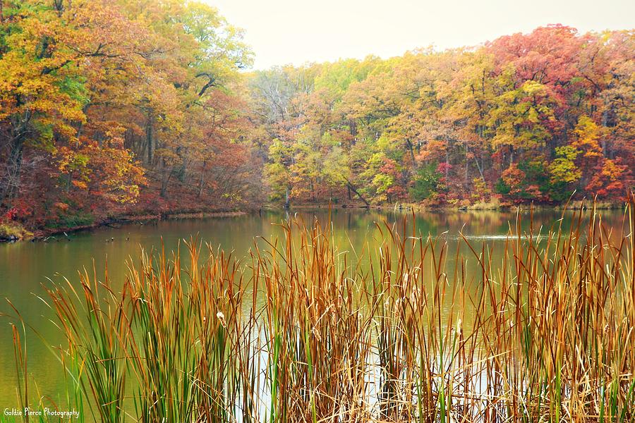 Fall Photograph - Fall Perfection by Goldie Pierce Fall Photograph - Fall Perfection by Goldie Pierce