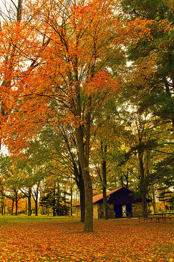 Fall Photograph by Phil Koch