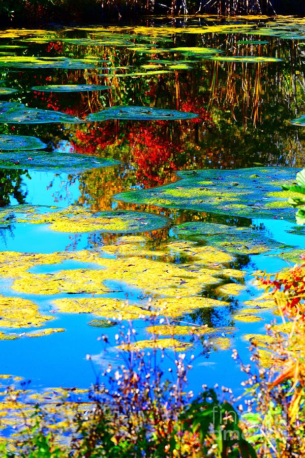 Fall Pond Photograph by Jennifer Craft