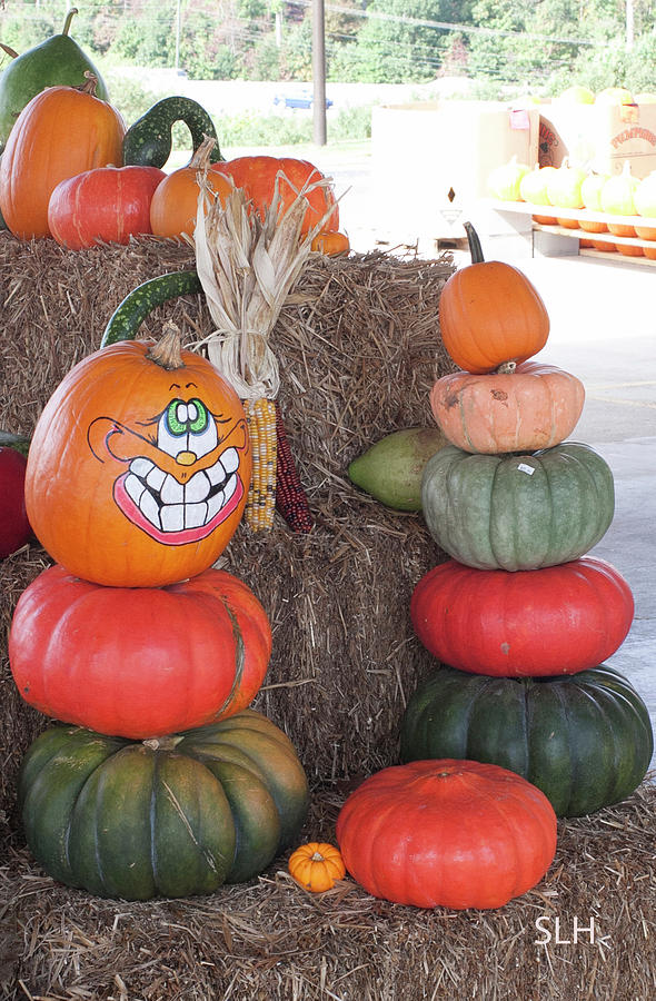 Fall Photograph - Fall Pumpkins by Lee Hartsell Fall Photograph - Fall Pumpkins by Lee Hartsell