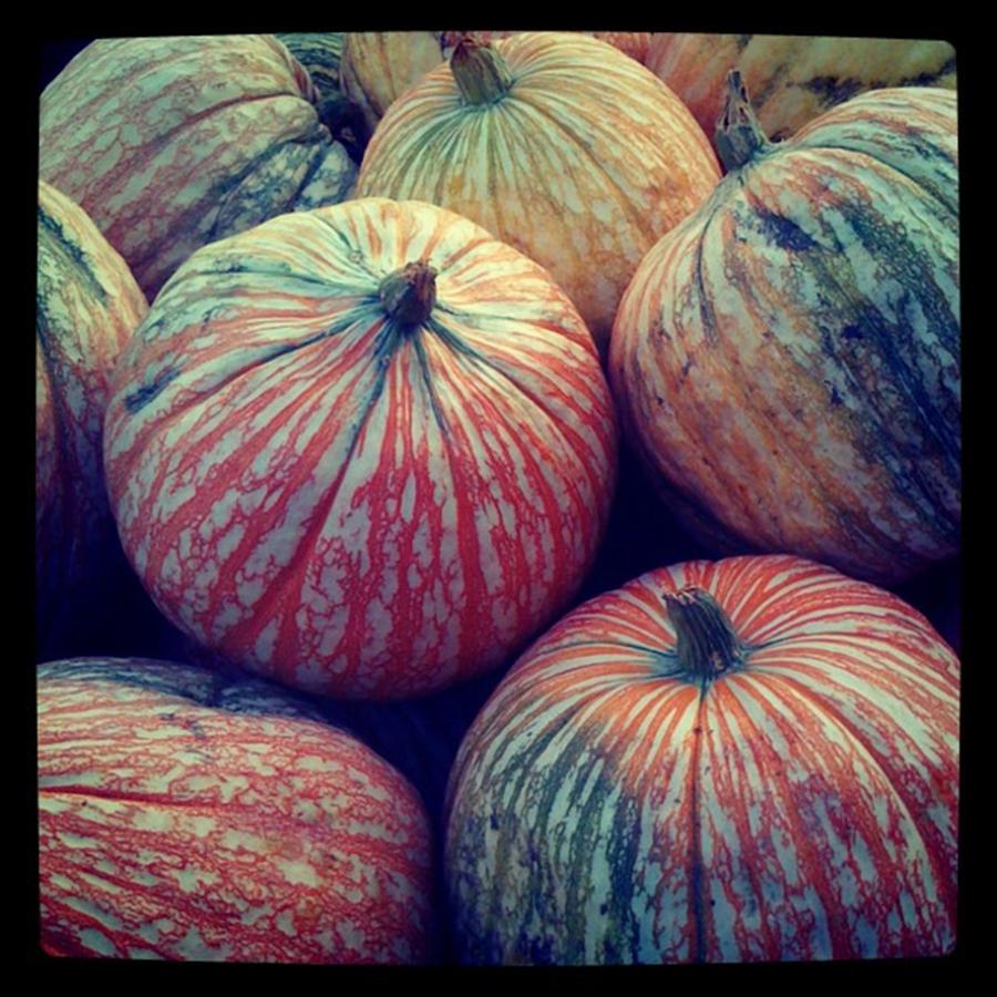 Fall Photograph - #fall #pumpkins by Patricia And Craig