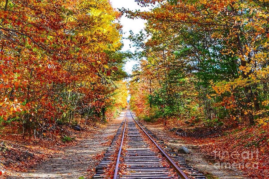 Fall Rail Trail Photograph by Colleen Mars - Pixels