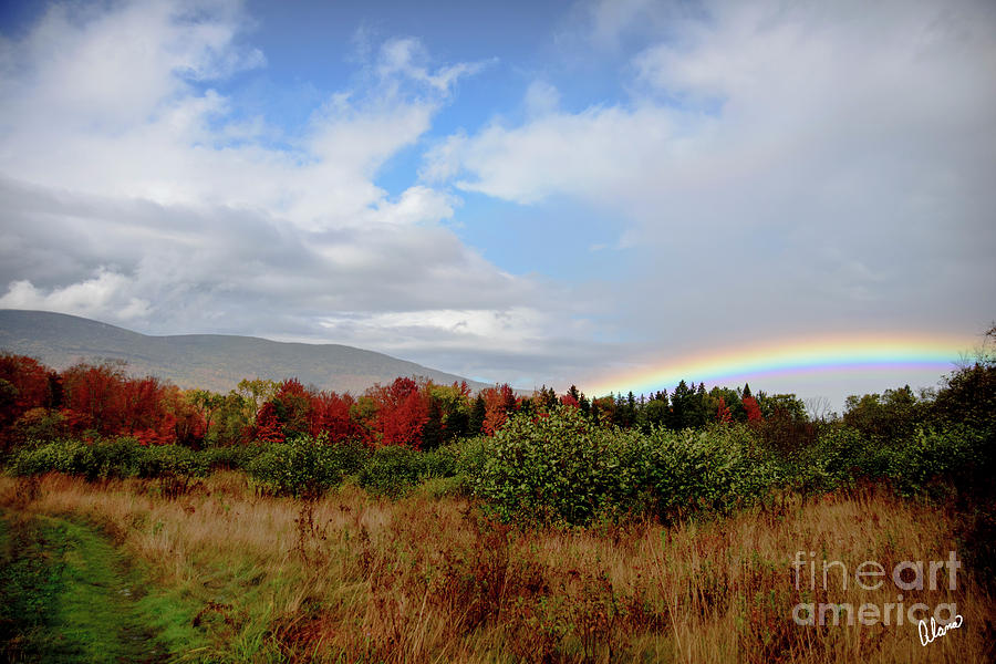 Fall Rainbow Photograph