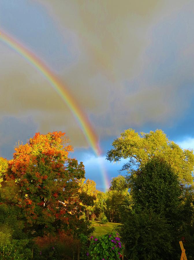 Fall Rainbow In Early Morning Photograph by Cheryl Thompson