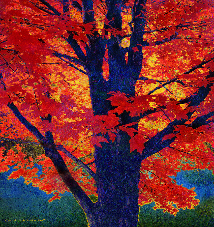 Fall Photograph - Fall Red Maple by R christopher Vest