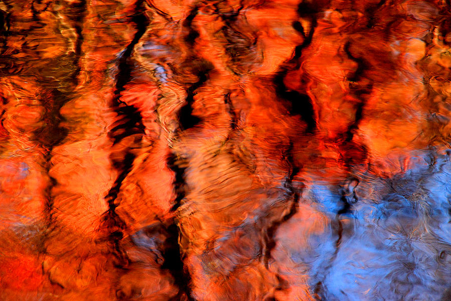 Fall Reflection Abstract Photograph by Mike Eingle