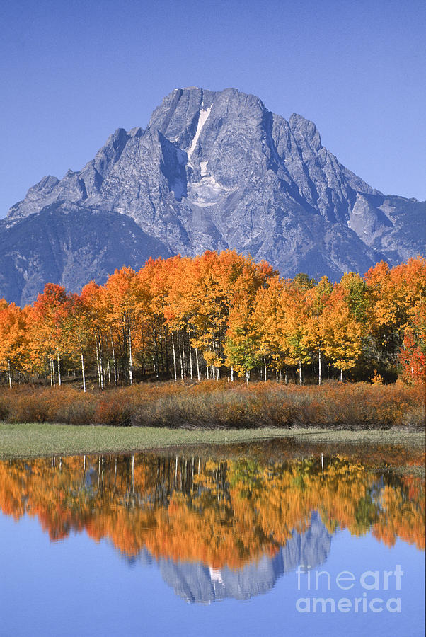 Fall Photograph - Fall Reflection at Oxbow Bend by Sandra Bronstein