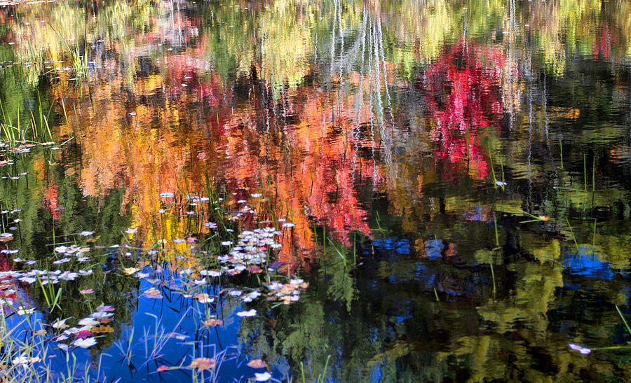 Fall Reflection  Photograph by Betty  Pauwels 