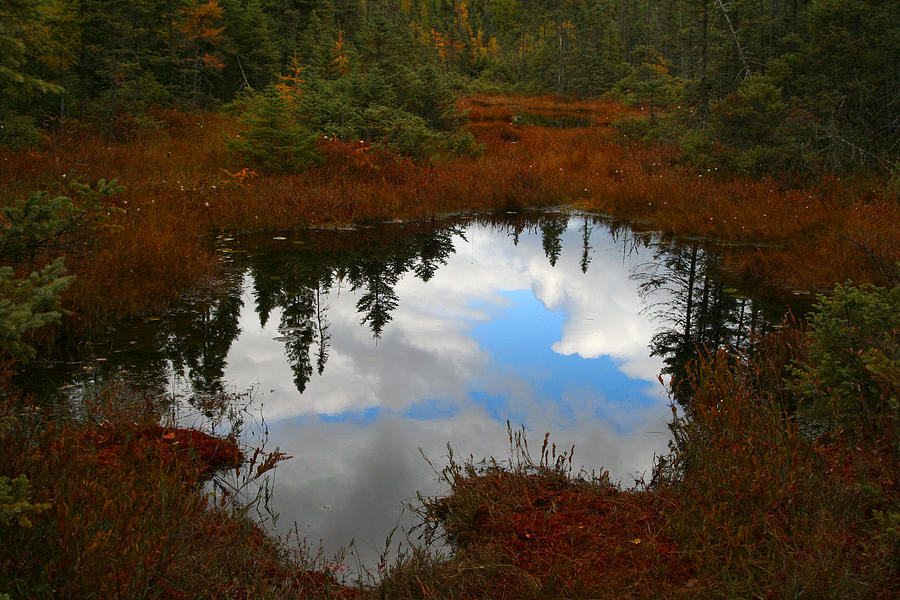 Fall Reflection Photograph by Brook Burling