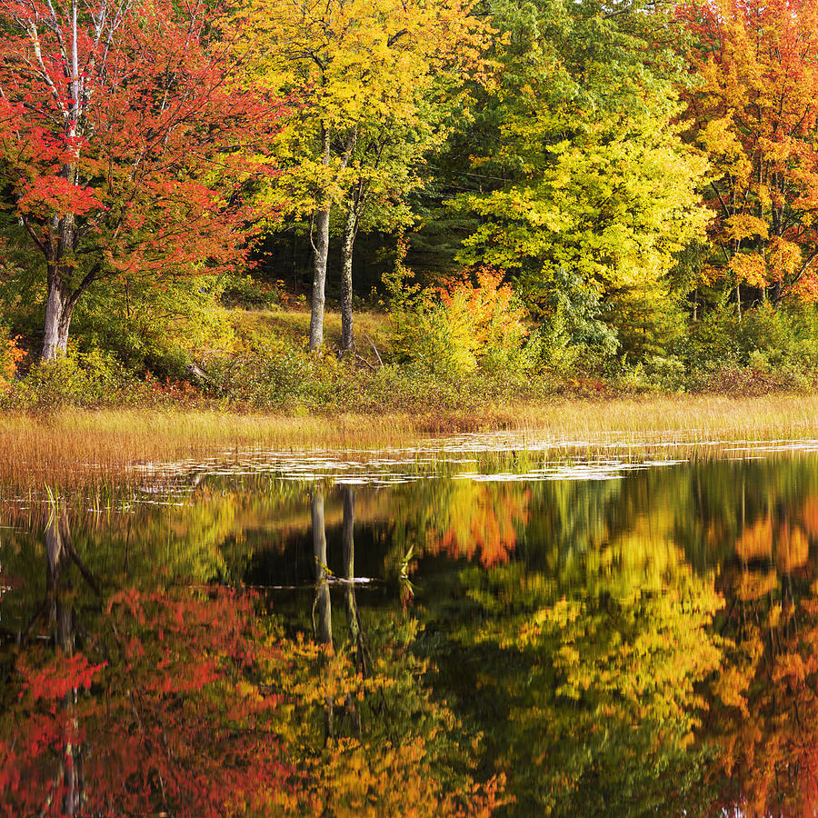 Fall Photograph - Fall Reflection by Chad Dutson