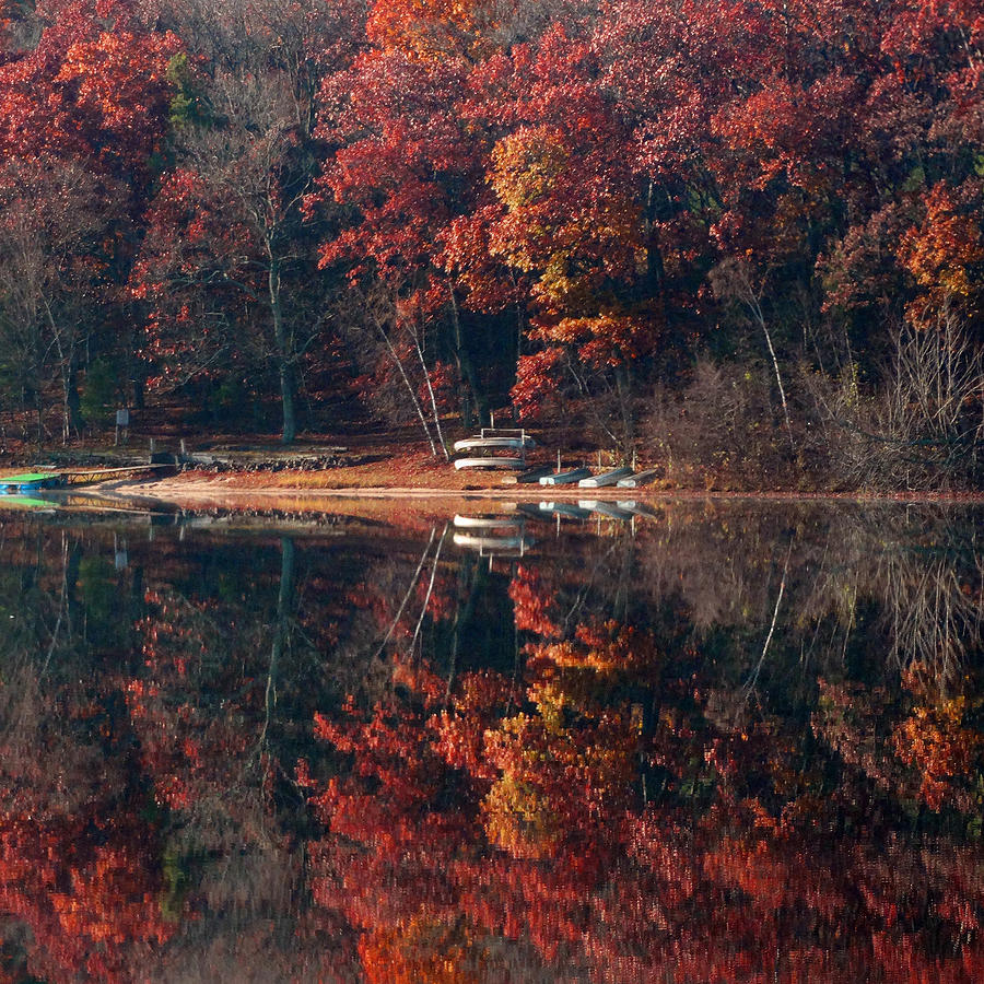 Fall Reflection Photograph by David T Wilkinson