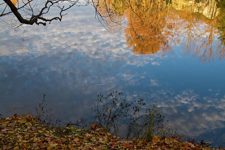 Fall Reflection In Blue Photograph by Brian Green