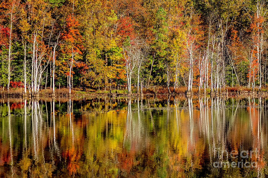 Fall Reflection Newport News Park Virginia II Photograph by Karen Jorstad