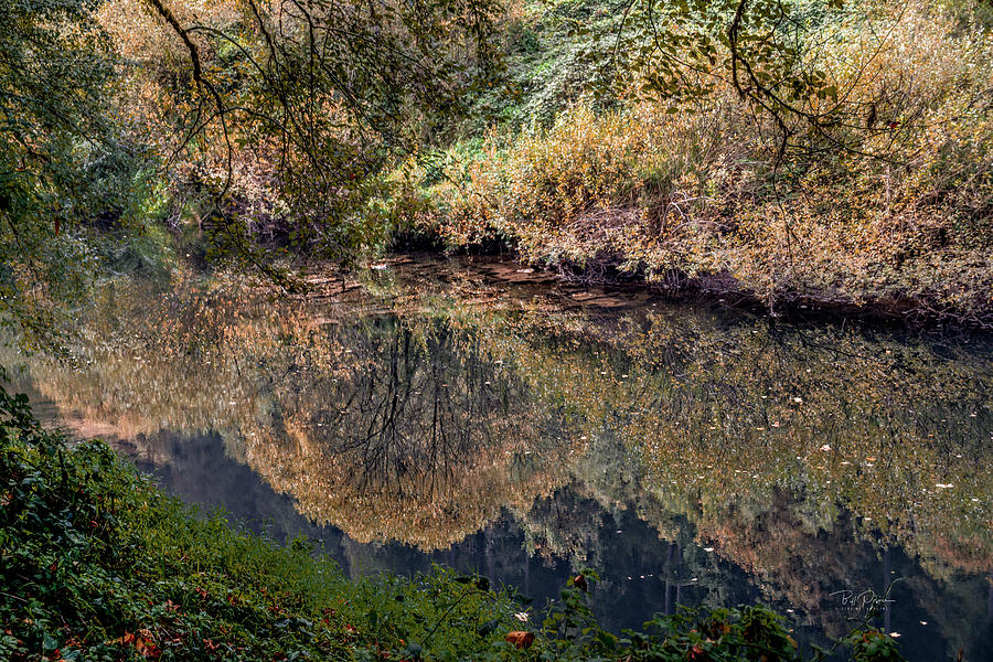 Fall Reflections 1 Photograph by Bill Posner