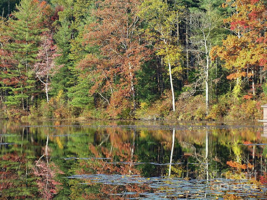 Fall Reflections - 1 Photograph