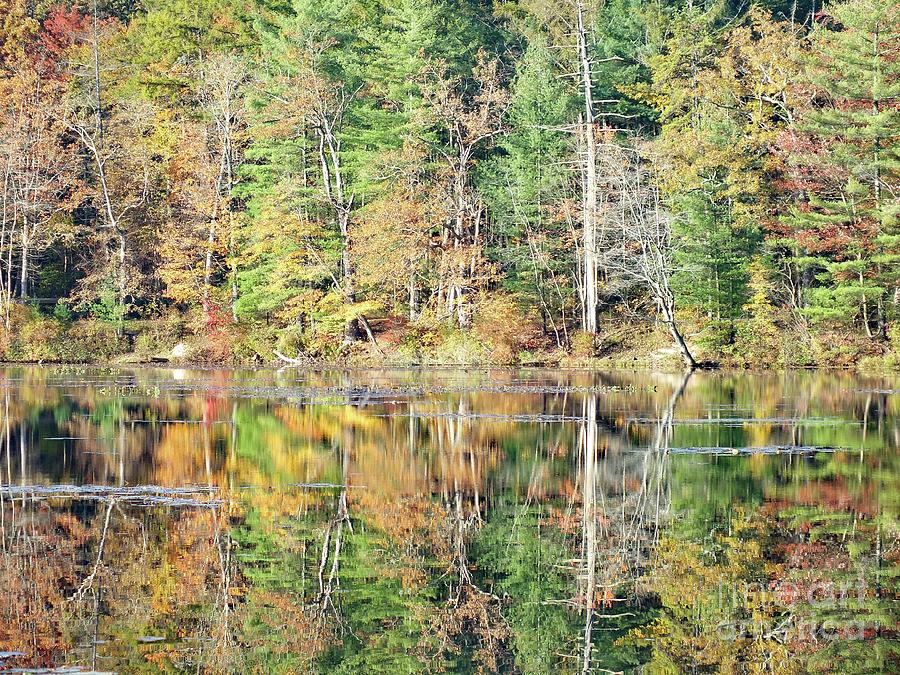 Fall Reflections - 2 Photograph