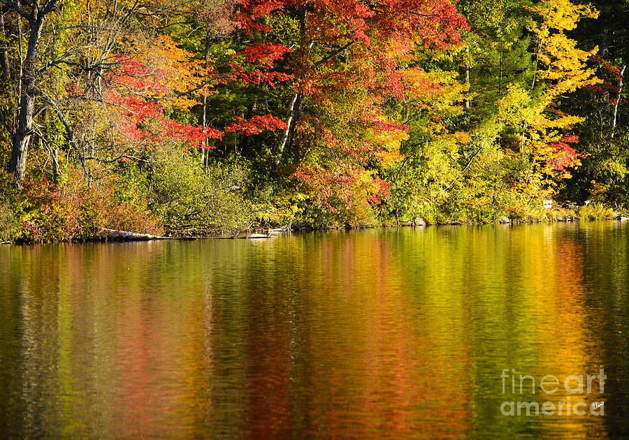 Fall Reflections Photograph by Alana Ranney