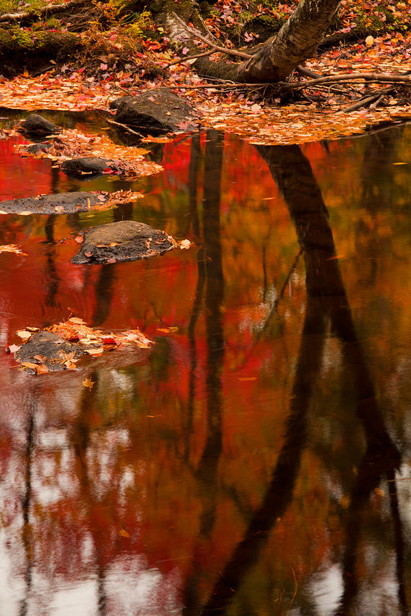 Fall Reflections Along The Rawdon River #1 Photograph by Irwin Barrett