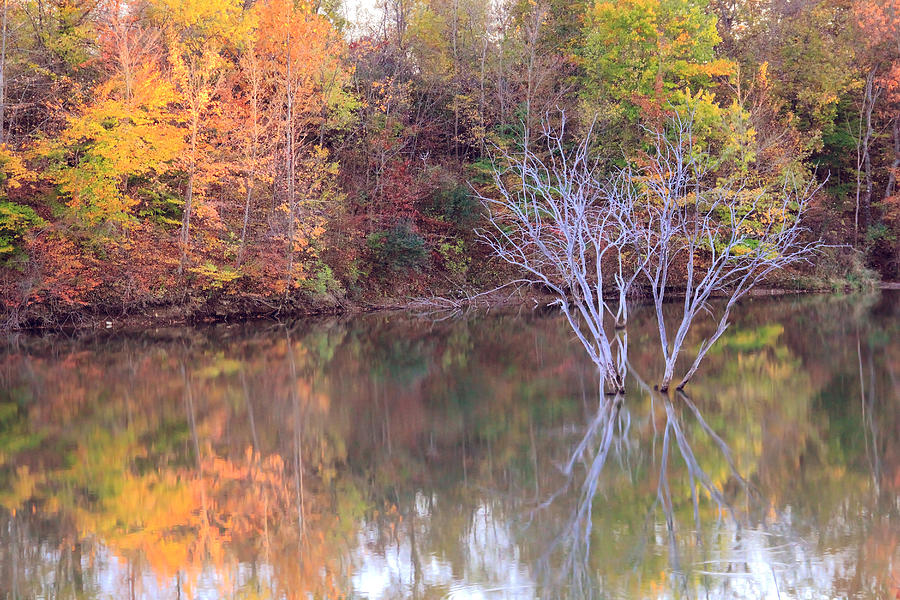 Fall Reflections Photograph by Angela Murdock