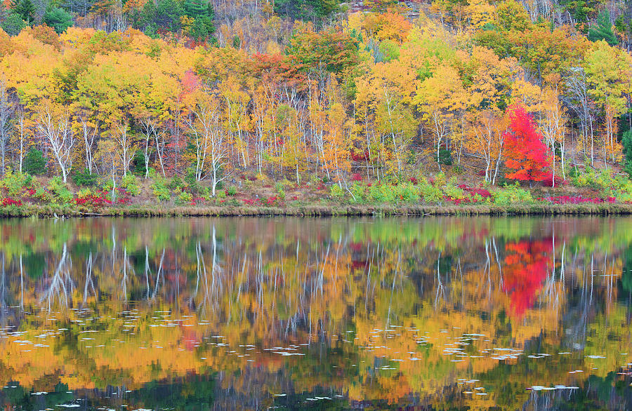 Fall Reflections at Beaver Dam Pond Photograph by Dennis Kowalewski