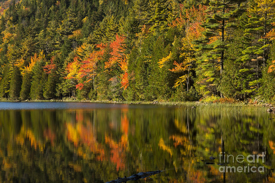 Fall Reflections at Sunrise Photograph by Bob Phillips
