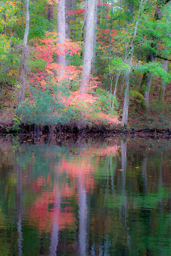 Fall Reflections Photograph by Bob Decker