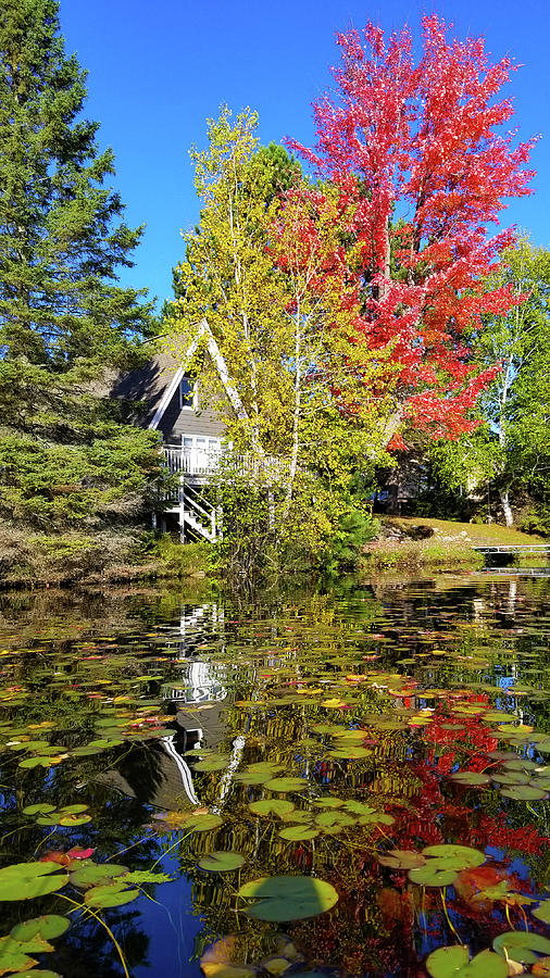 Fall Reflections Photograph by Brook Burling