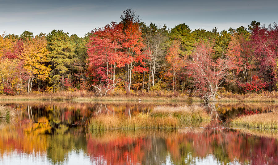 Fall Reflections Photograph by Charles Aitken