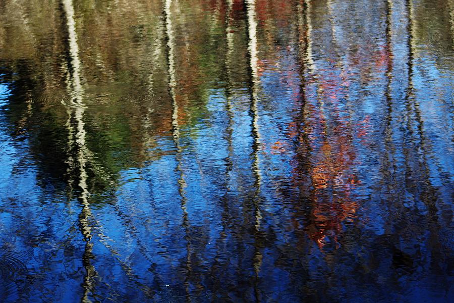 Tree Photograph - Fall reflections by Charles Ray