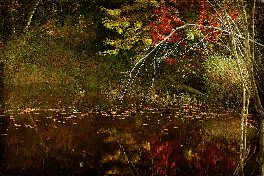 Fall Reflections Photograph by Cindi Ressler