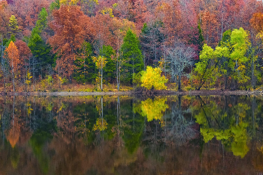 Fall Reflections Current River State Park MO DSC09395 Photograph by Greg Kluempers