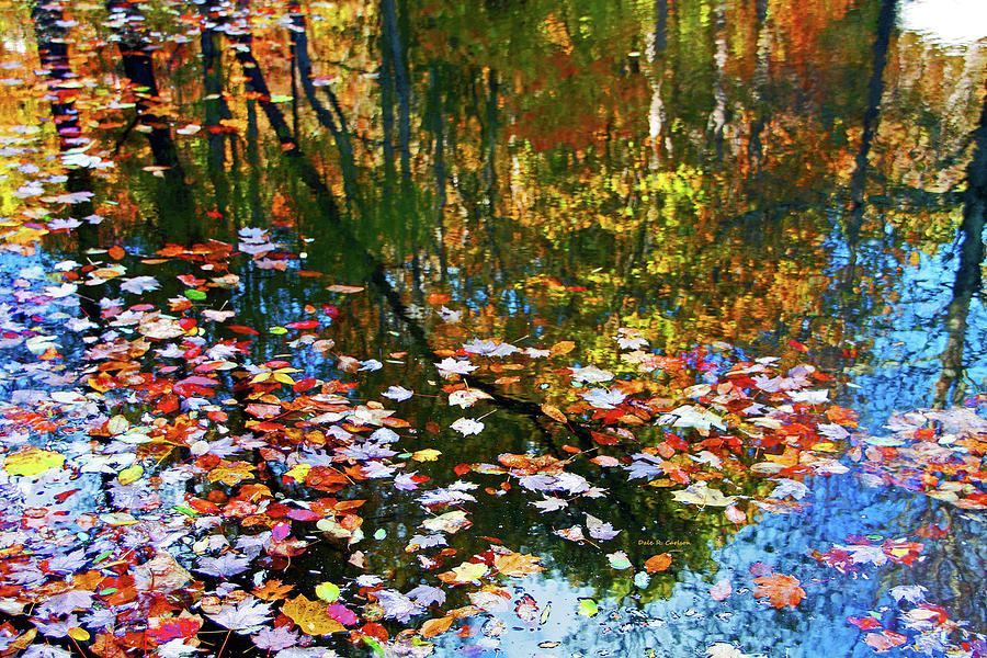 Fall Reflections Photograph by Dale R Carlson