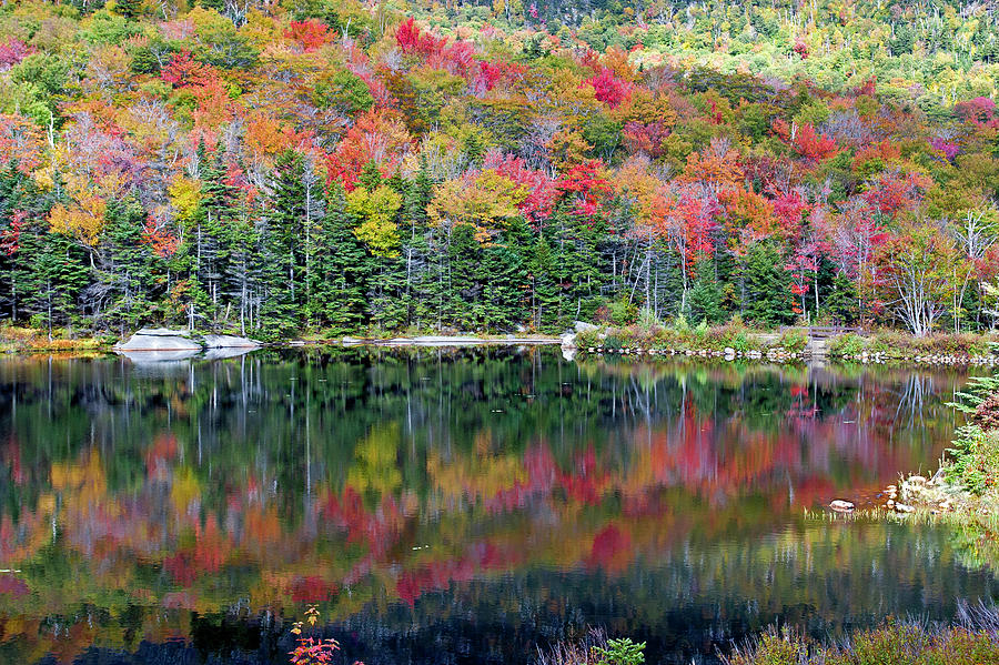 Fall reflections Photograph by David Freuthal
