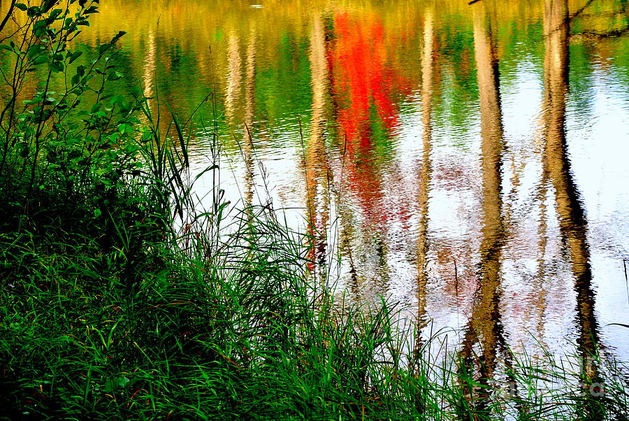 Fall Reflections Photograph by Elfriede Fulda