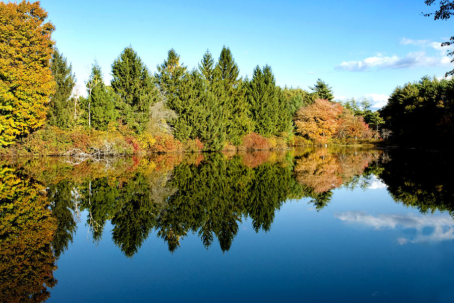 Fall Reflections II Photograph by Greg Fortier