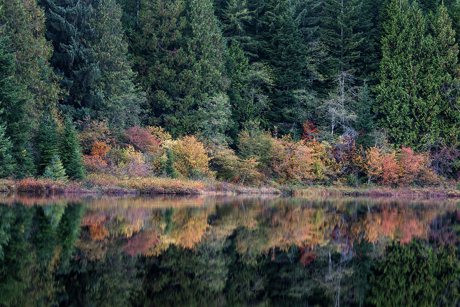 Fall Reflections in Rolley Lake Photograph by Michael Russell