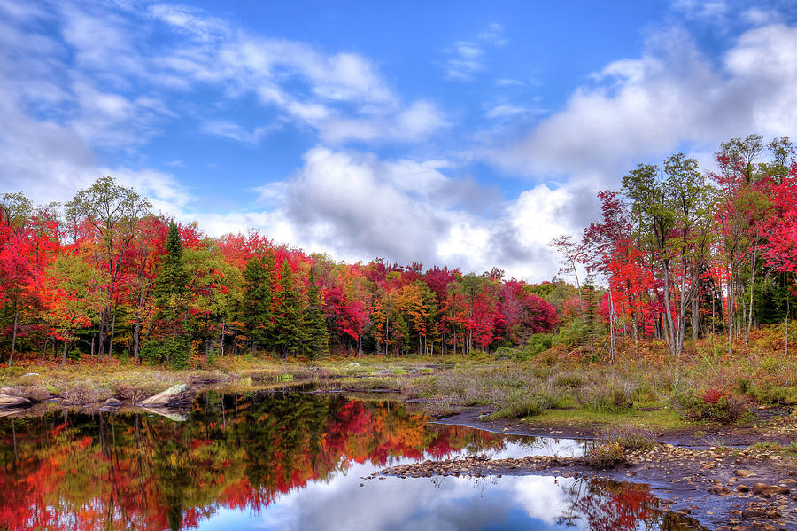 Fall Reflections in the Adirondacks Photograph by David Patterson