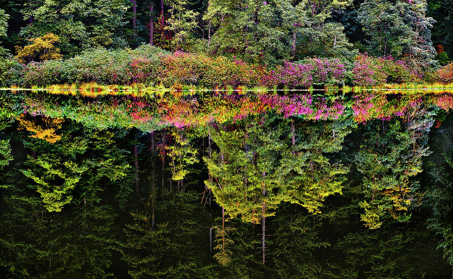 Fall Reflections Photograph by John Christopher