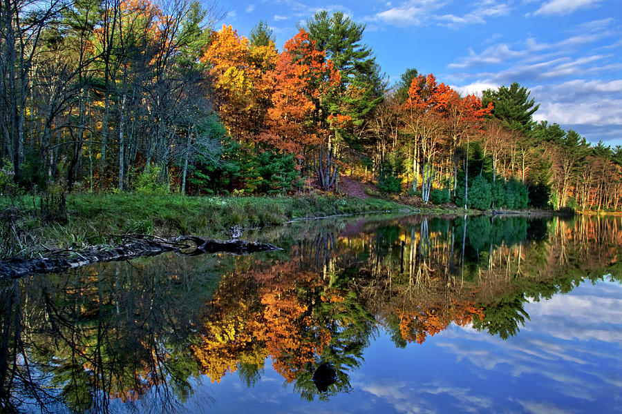 Fall Reflections Landscape Photograph by Christina Rollo
