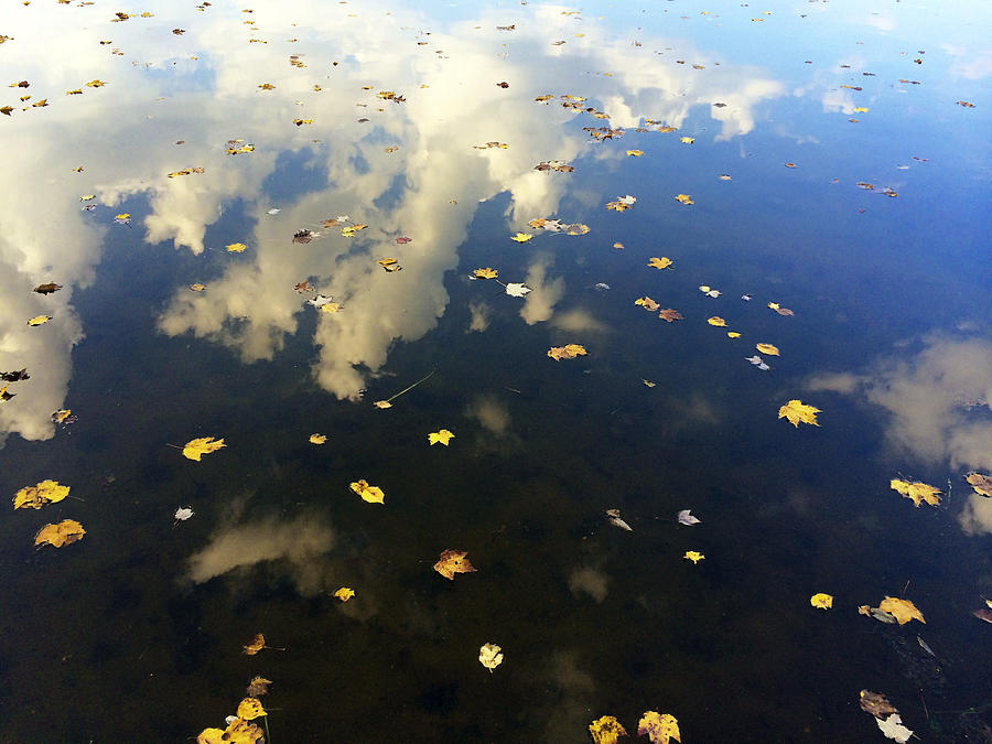Fall Reflections Photograph by Lori Knisely