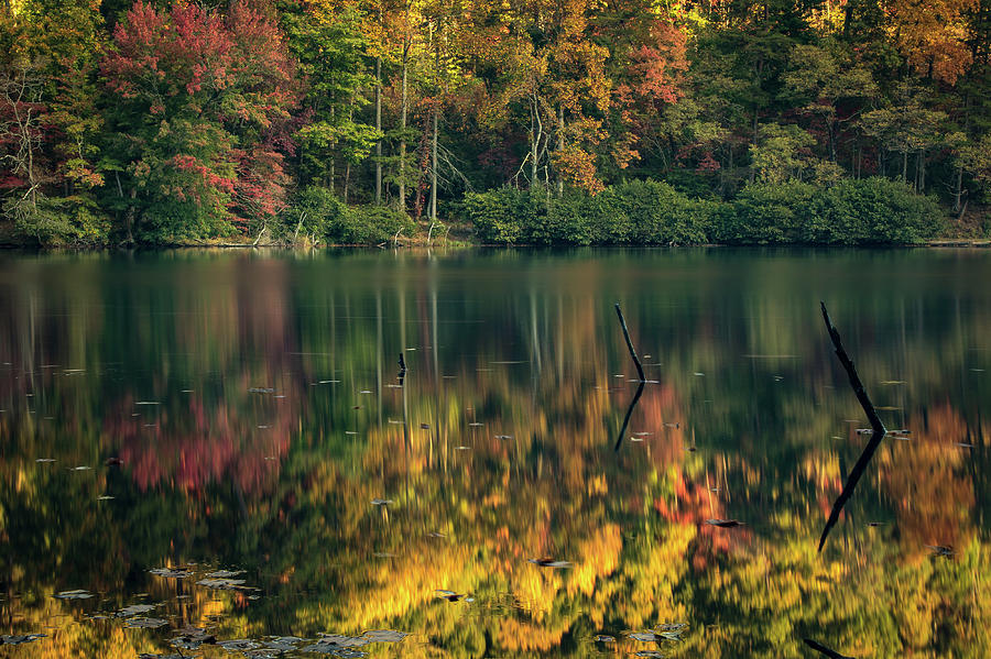 Fall Reflections Photograph by Mary Jo Cox