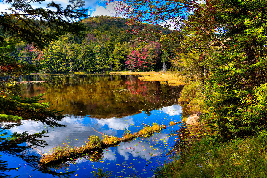 Fall Reflections on Cary Lake Photograph by David Patterson