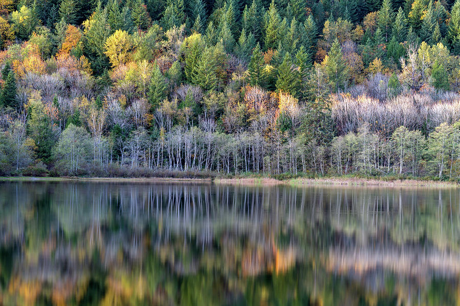 Fall Reflections on Deer Lake Photograph by Michael Russell